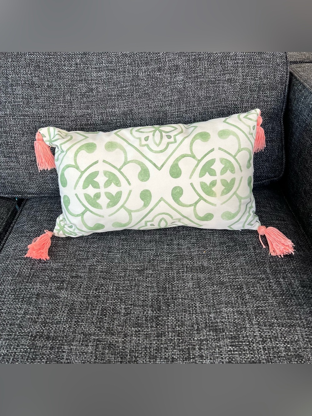 Outdoor Tassle Throw Pillow